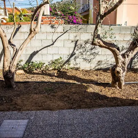 Apartman Casa Azalea